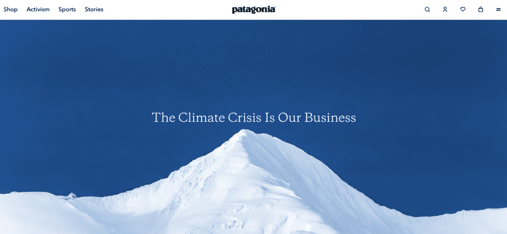 Patagonia sustainability website 